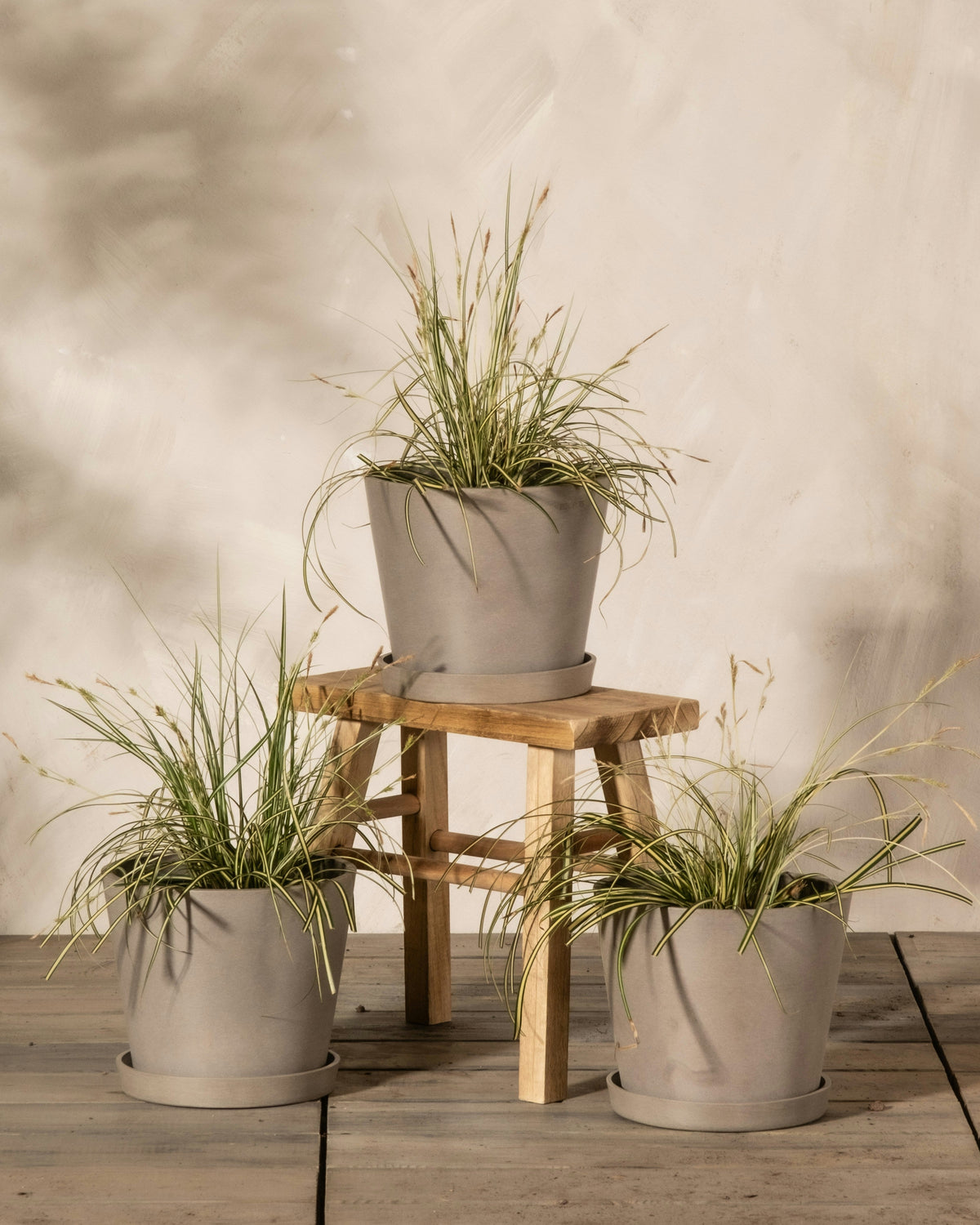 Planters