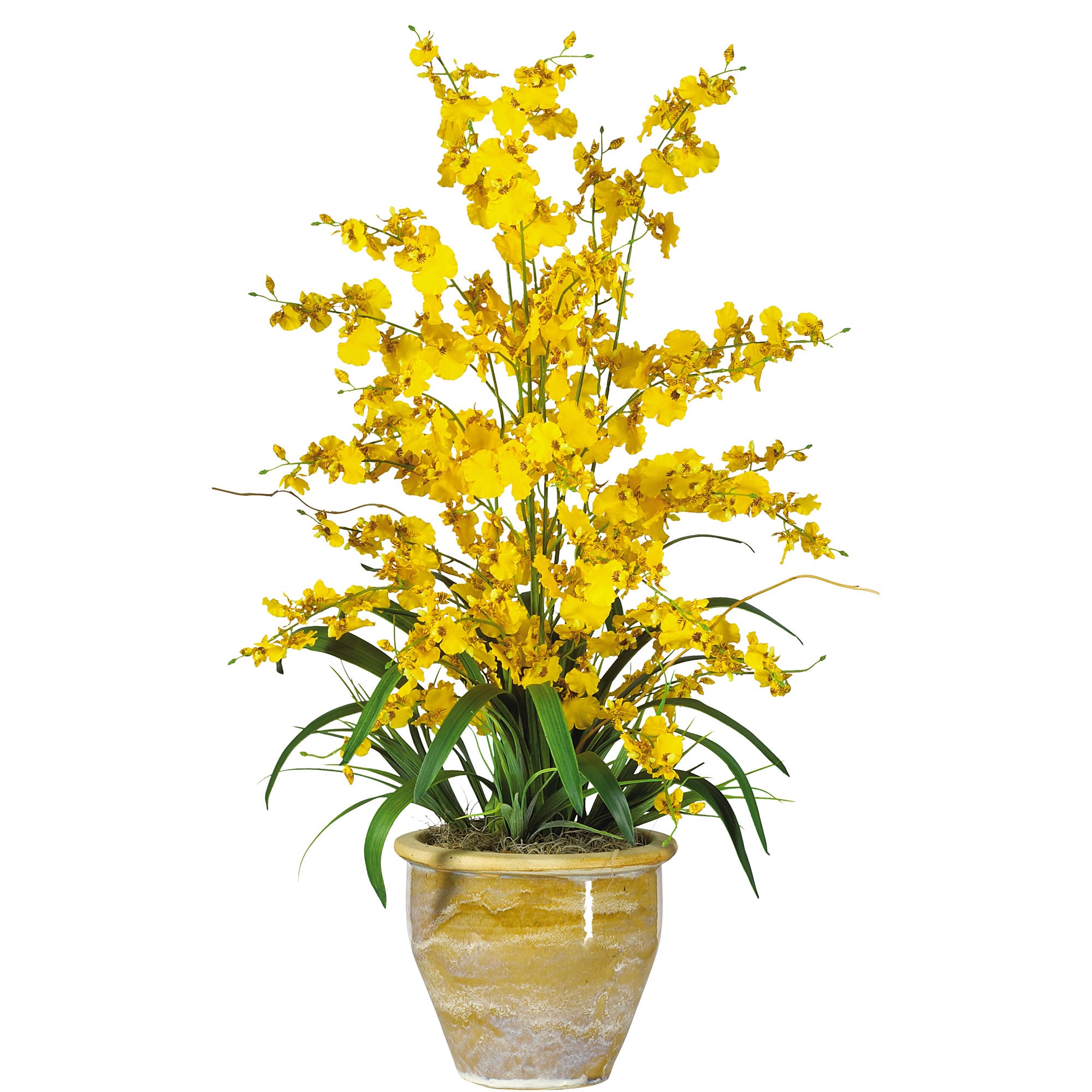 Triple Dancing Lady Yellow