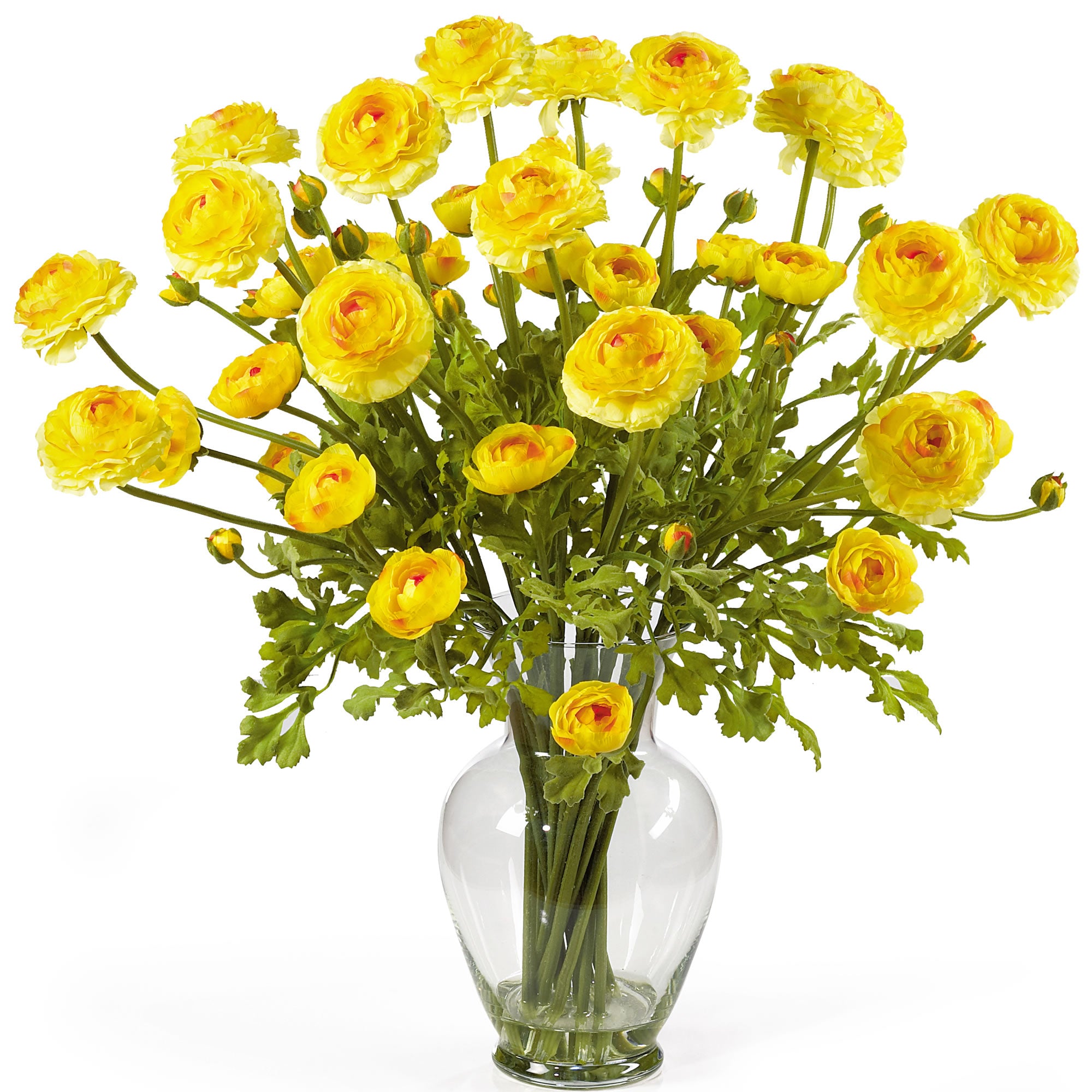 Ranunculus Liquid Illusion Yellow