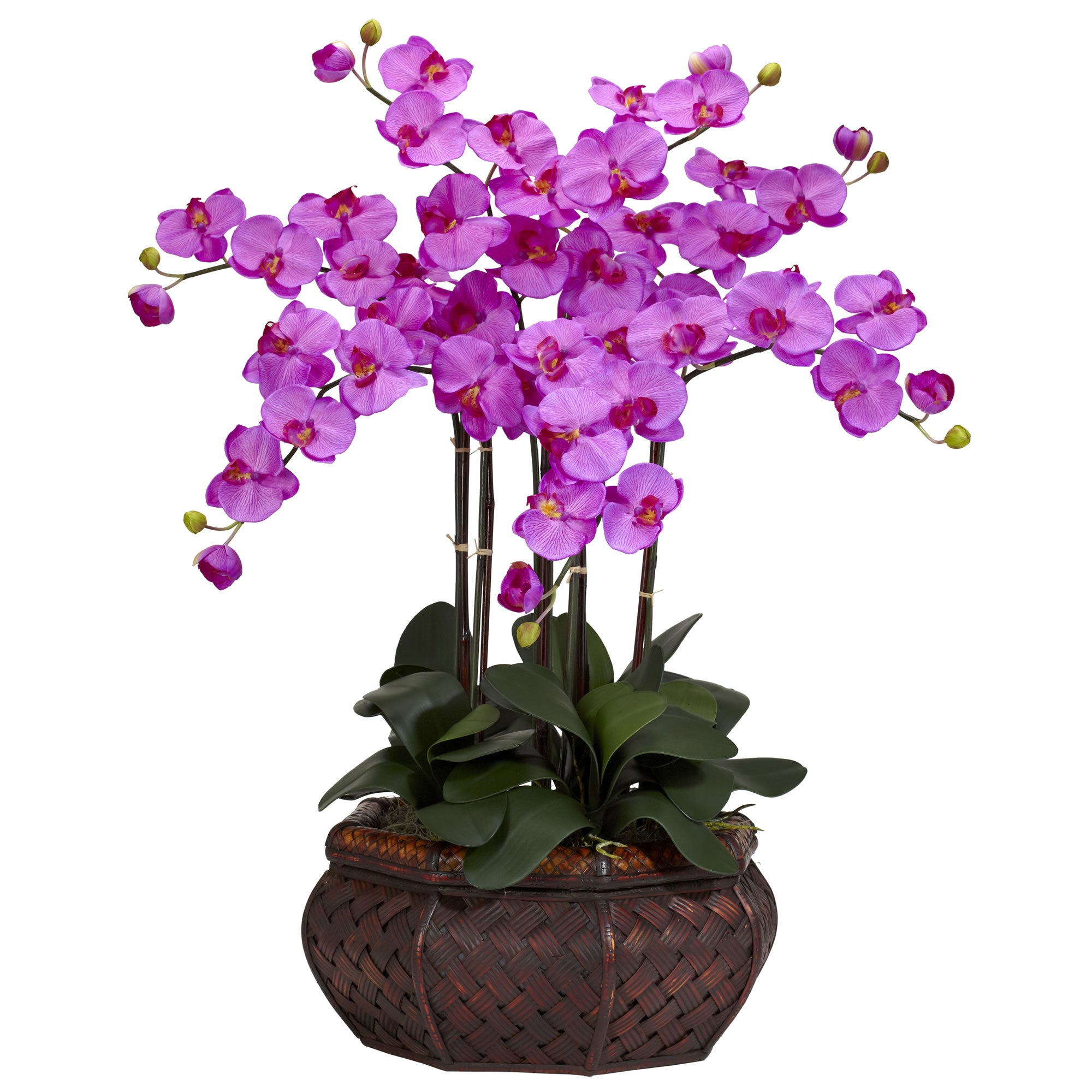 30" Large Phalaenopsis Arrangement Orchid