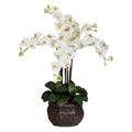 31" Phalaenopsis w/Decorative Vase Arrangement Cream