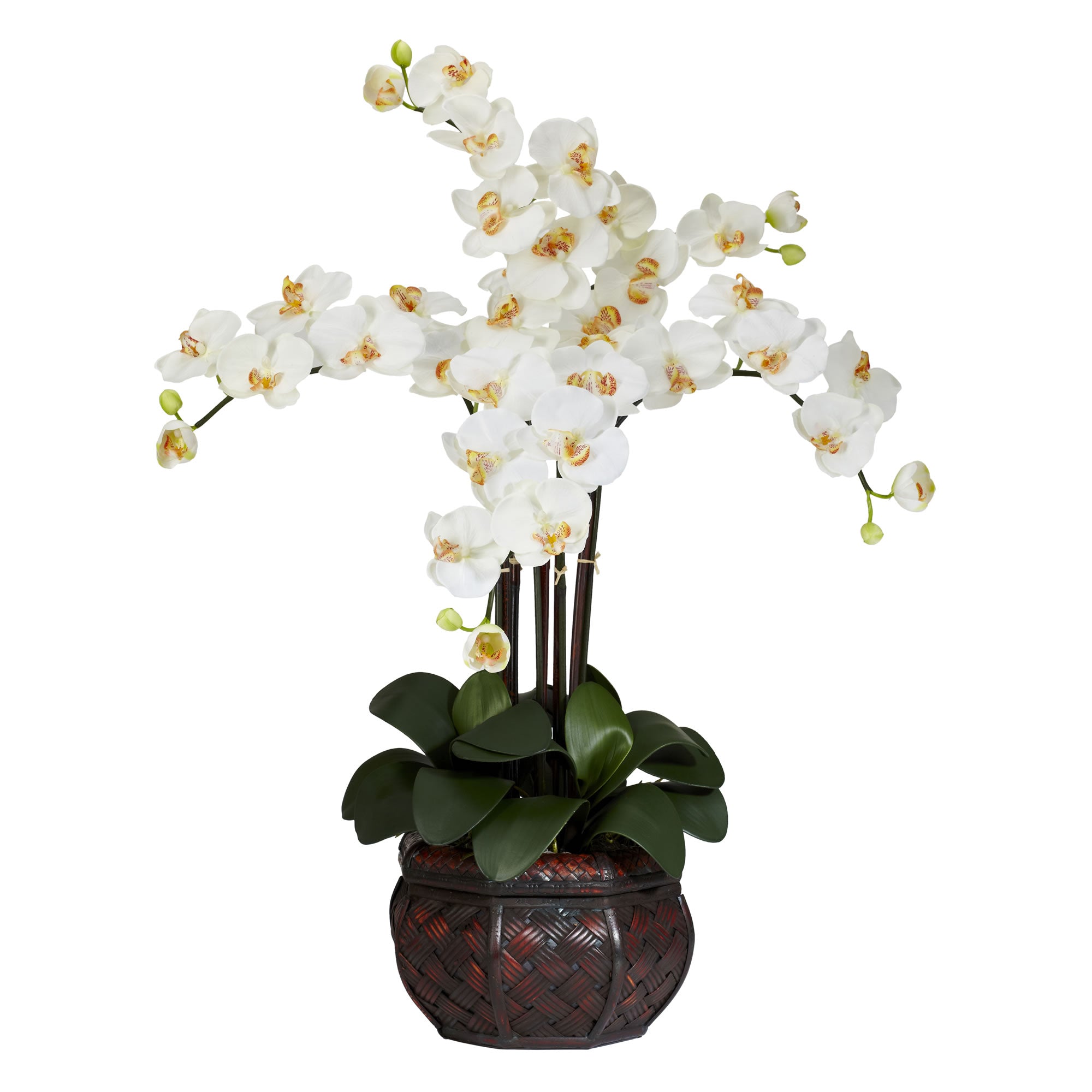 31" Phalaenopsis w/Decorative Vase Arrangement Cream