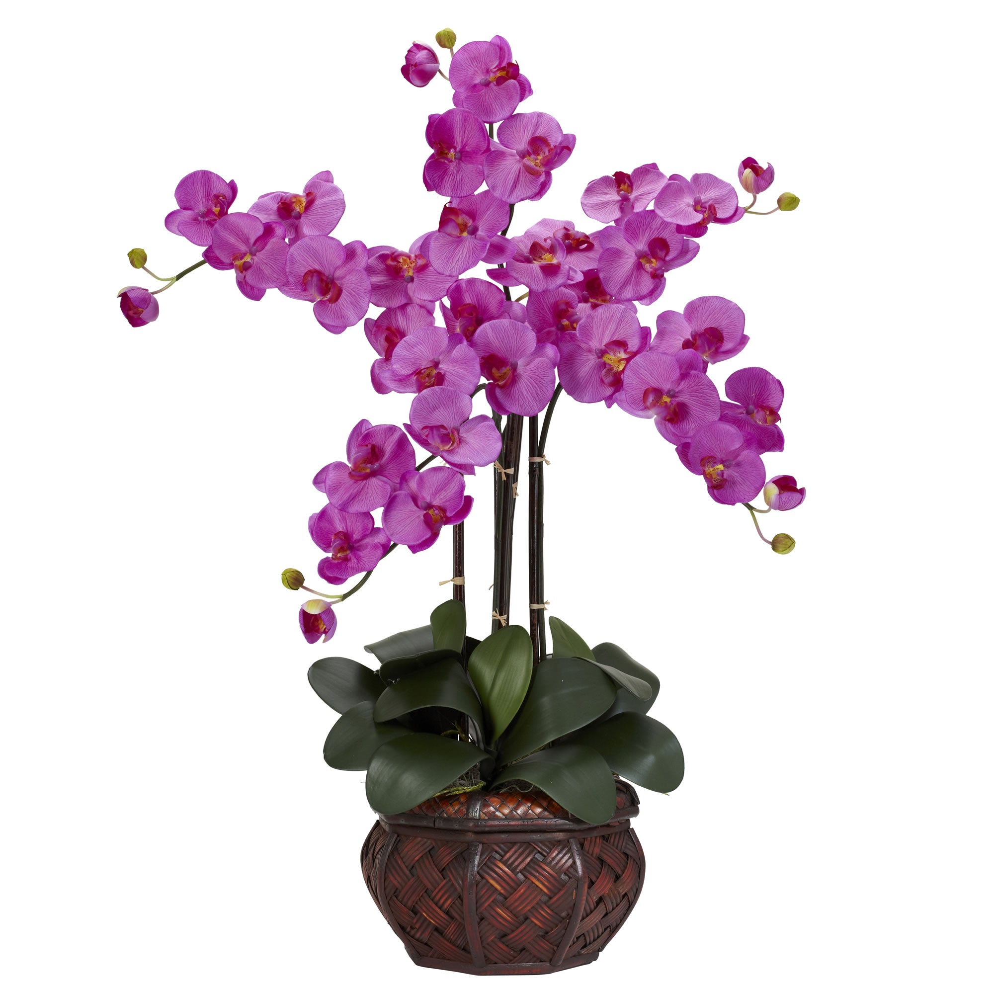 31" Phalaenopsis w/Decorative Vase Arrangement Orchid