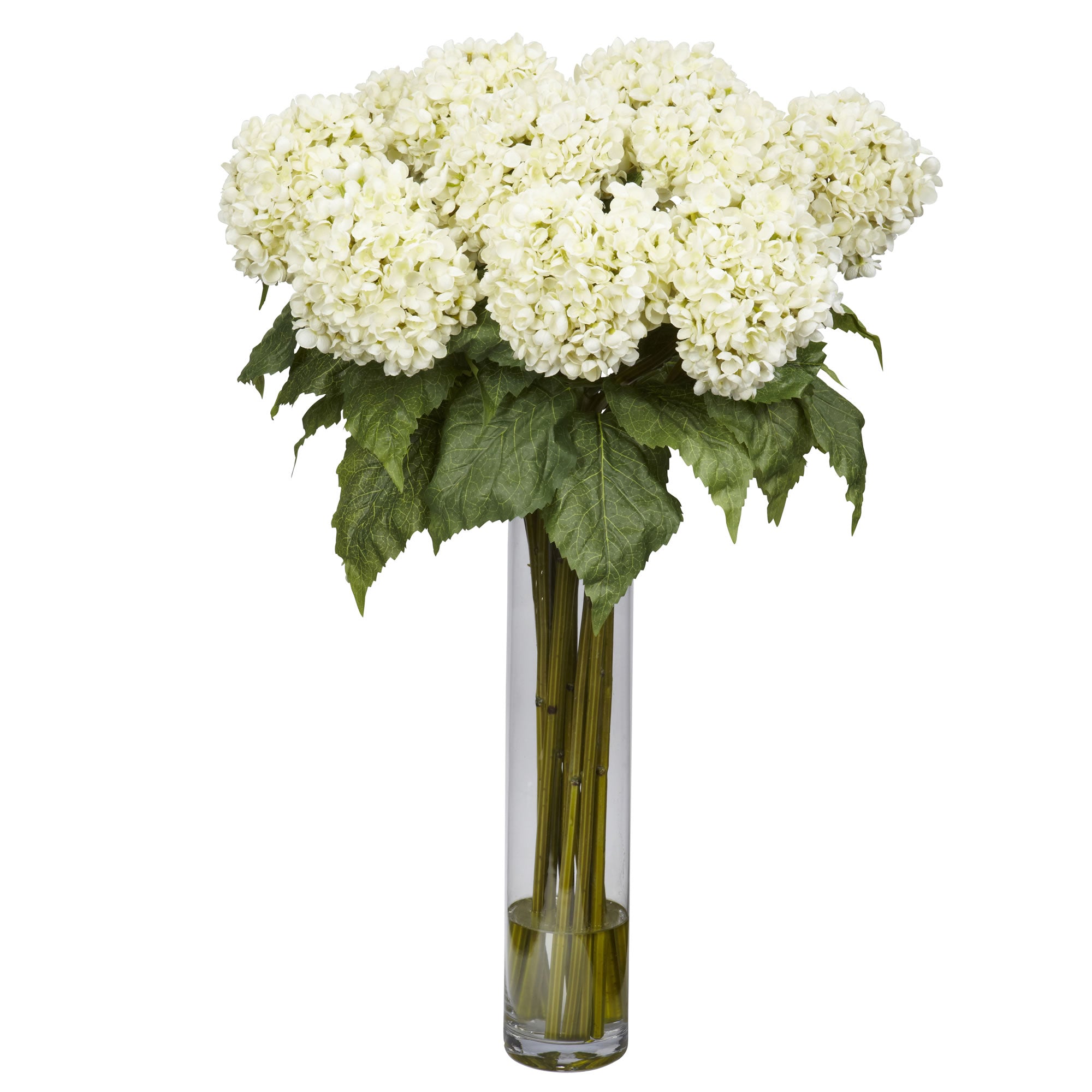 Hydrangea w/Cylinder White