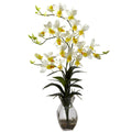 Dendrobium Orchid w/Vase Arrangement Cream
