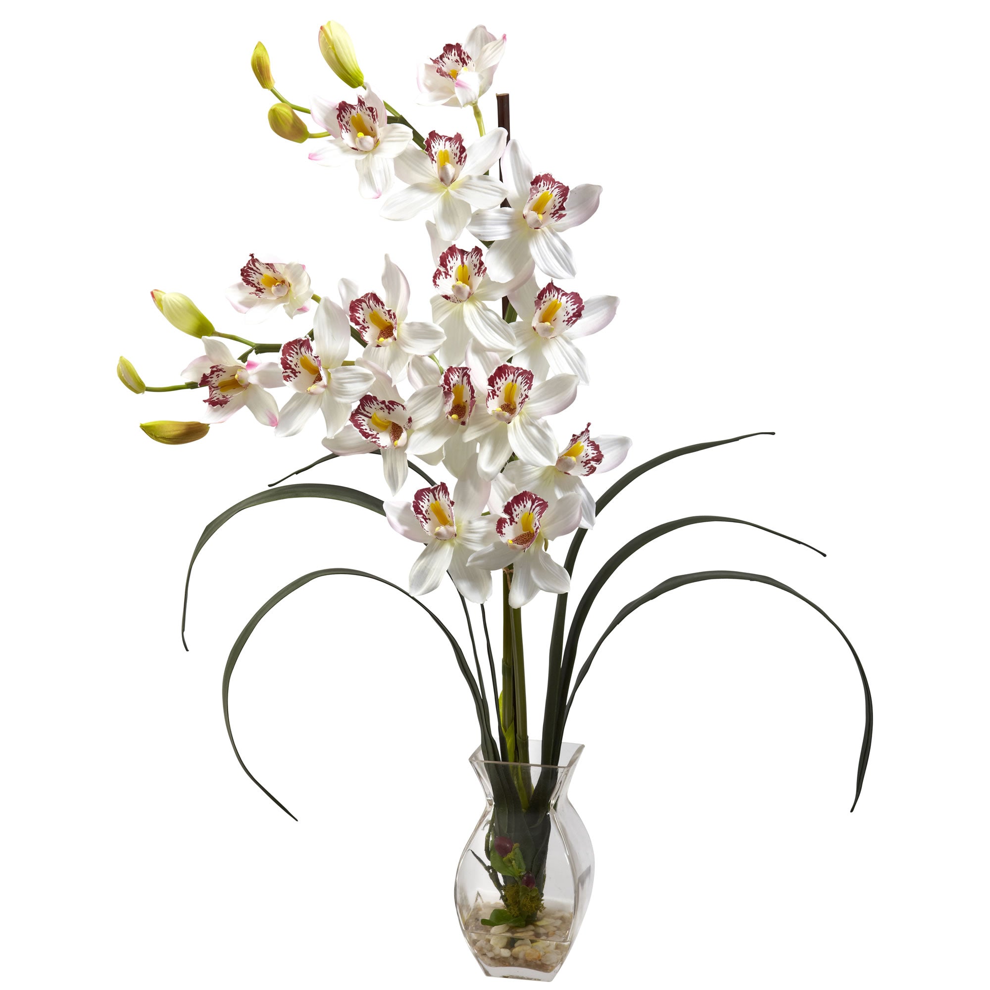 Cymbidium Orchid w/Vase Arrangement White