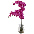 Phalaenopsis Orchid w/Vase Arrangement Beauty