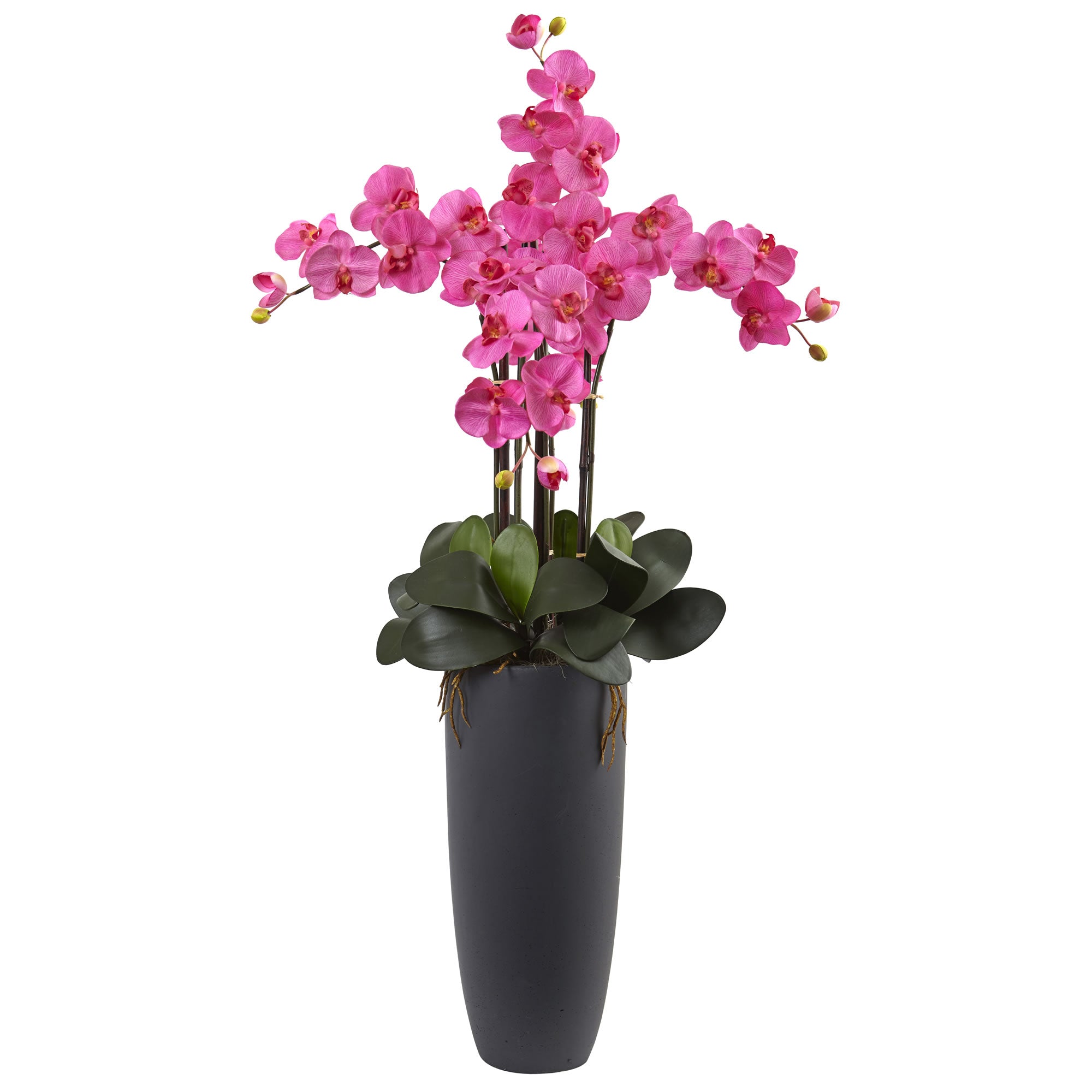 41" Phalaenopsis Orchid Arrangement with Bullet Pl Dark Pink