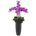 41" Phalaenopsis Orchid Arrangement with Bullet Plntr Orchid