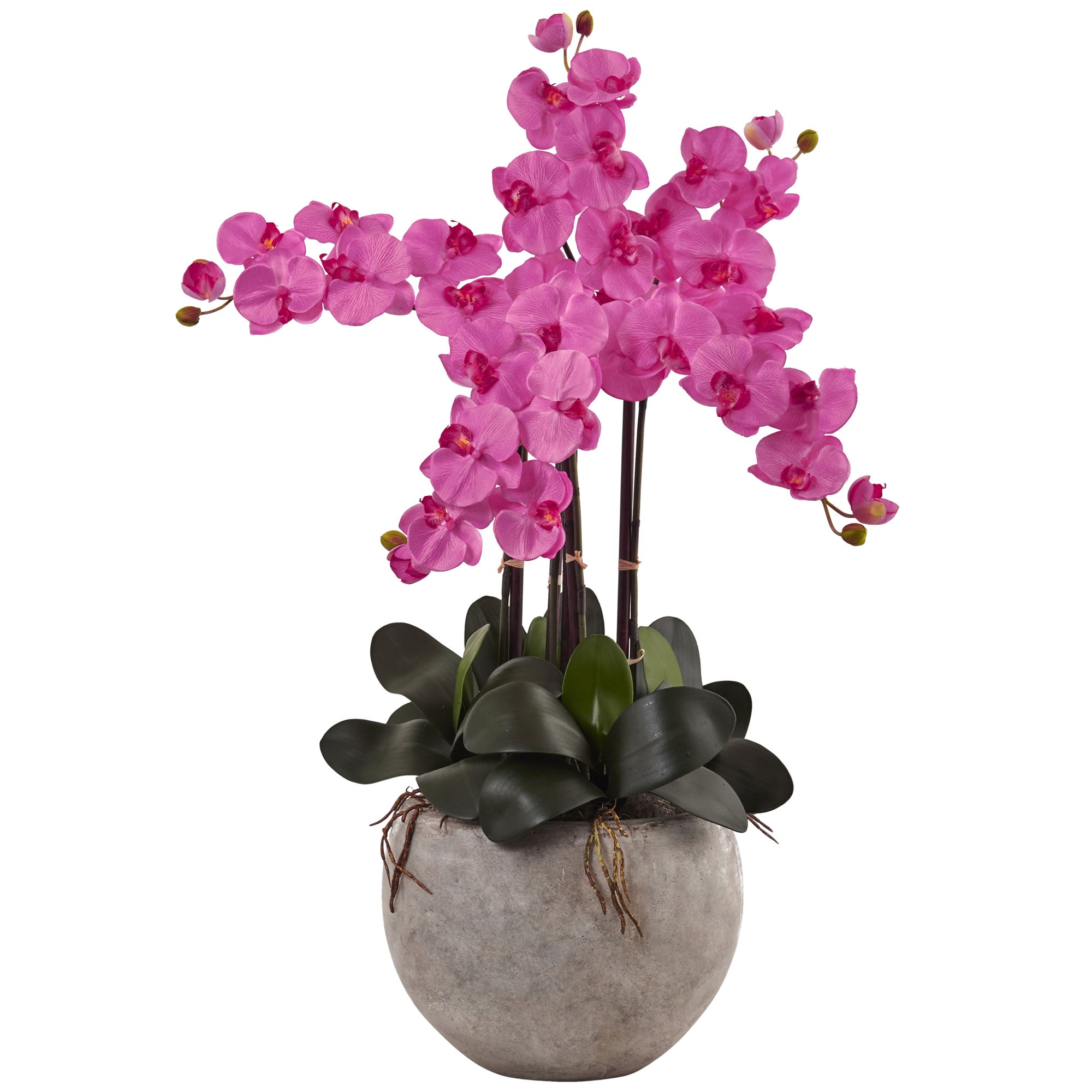 36" Phalaenopsis Orchid Arrangement with Sand Colr Dark Pink