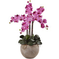 36" Phalaenopsis Orchid Arrangement with Sand Colored Mauve