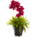 20" Birds Nest & Orchid Combo with Planter Red