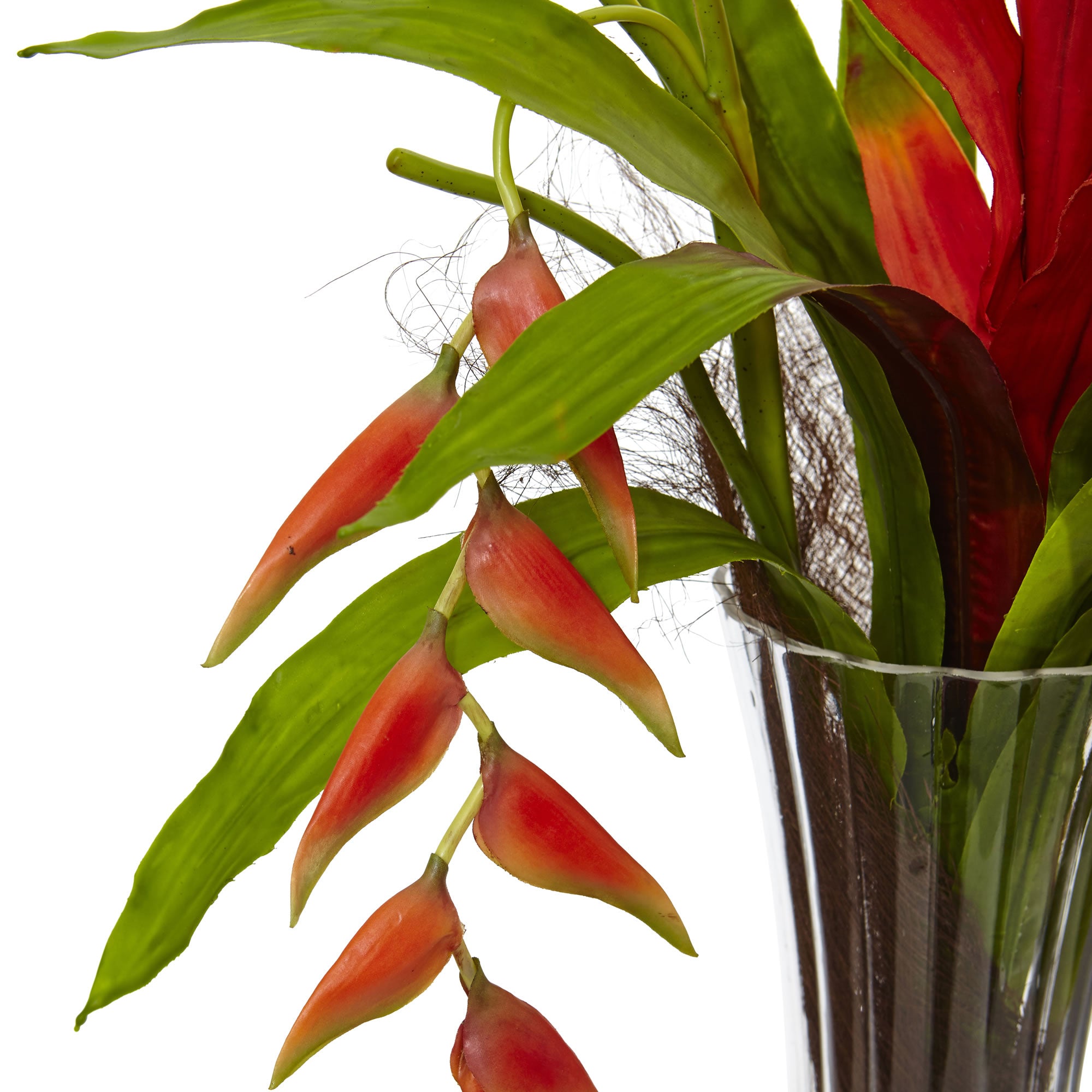 30" Bromeliad and Heliconia in Vase