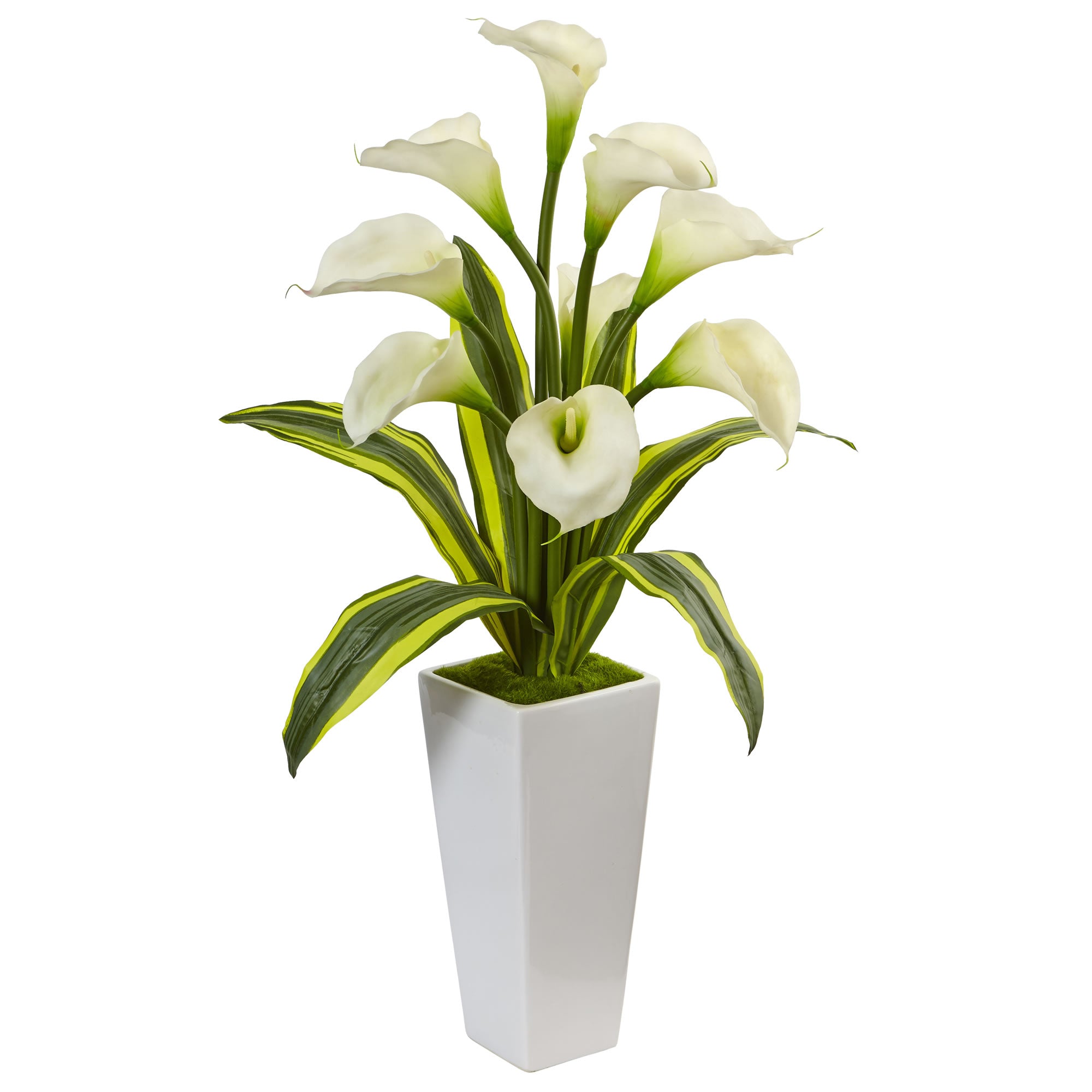33" Callas with Tropical Leaves in White Planter White