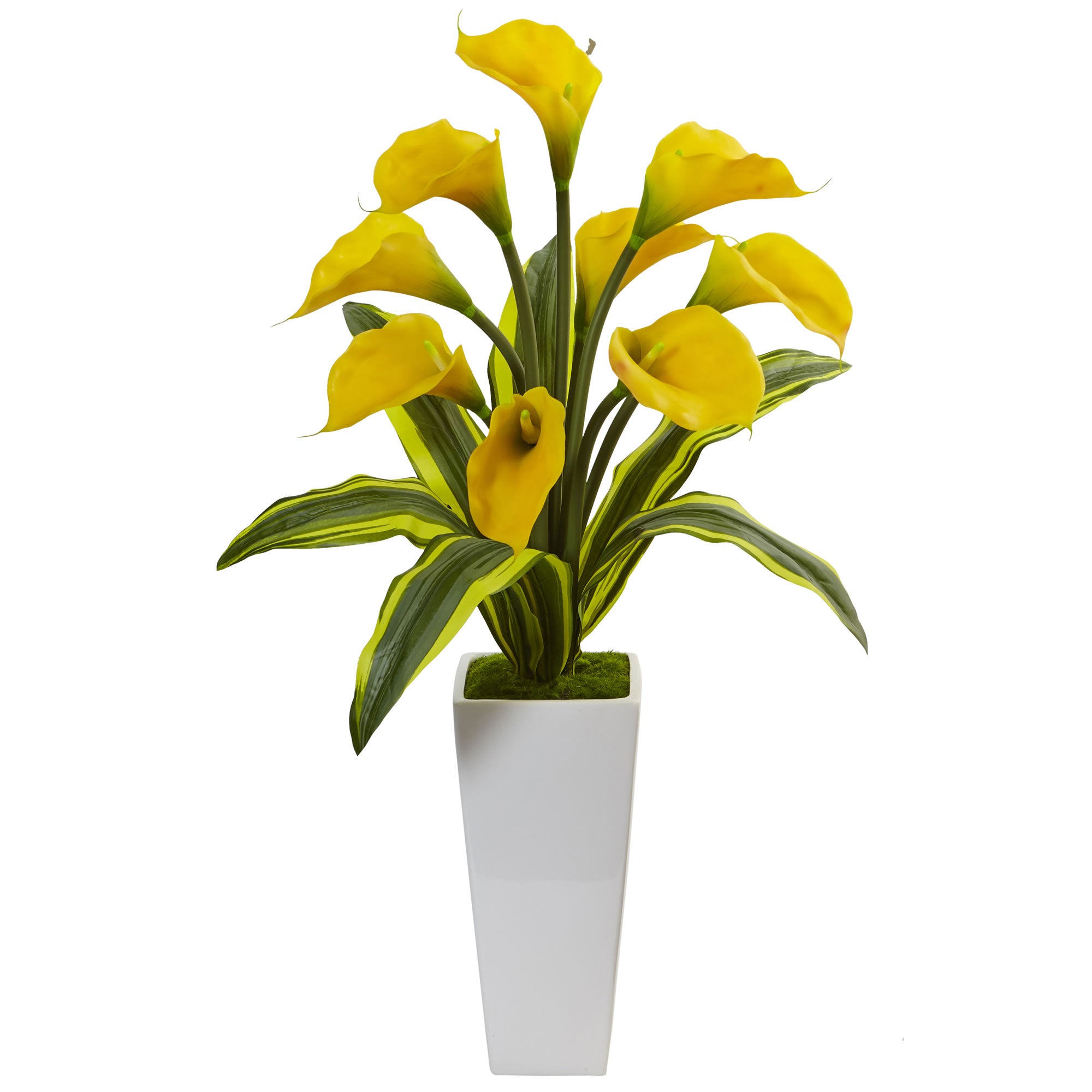 33" Callas with Tropical Leaves in White Planter Yellow