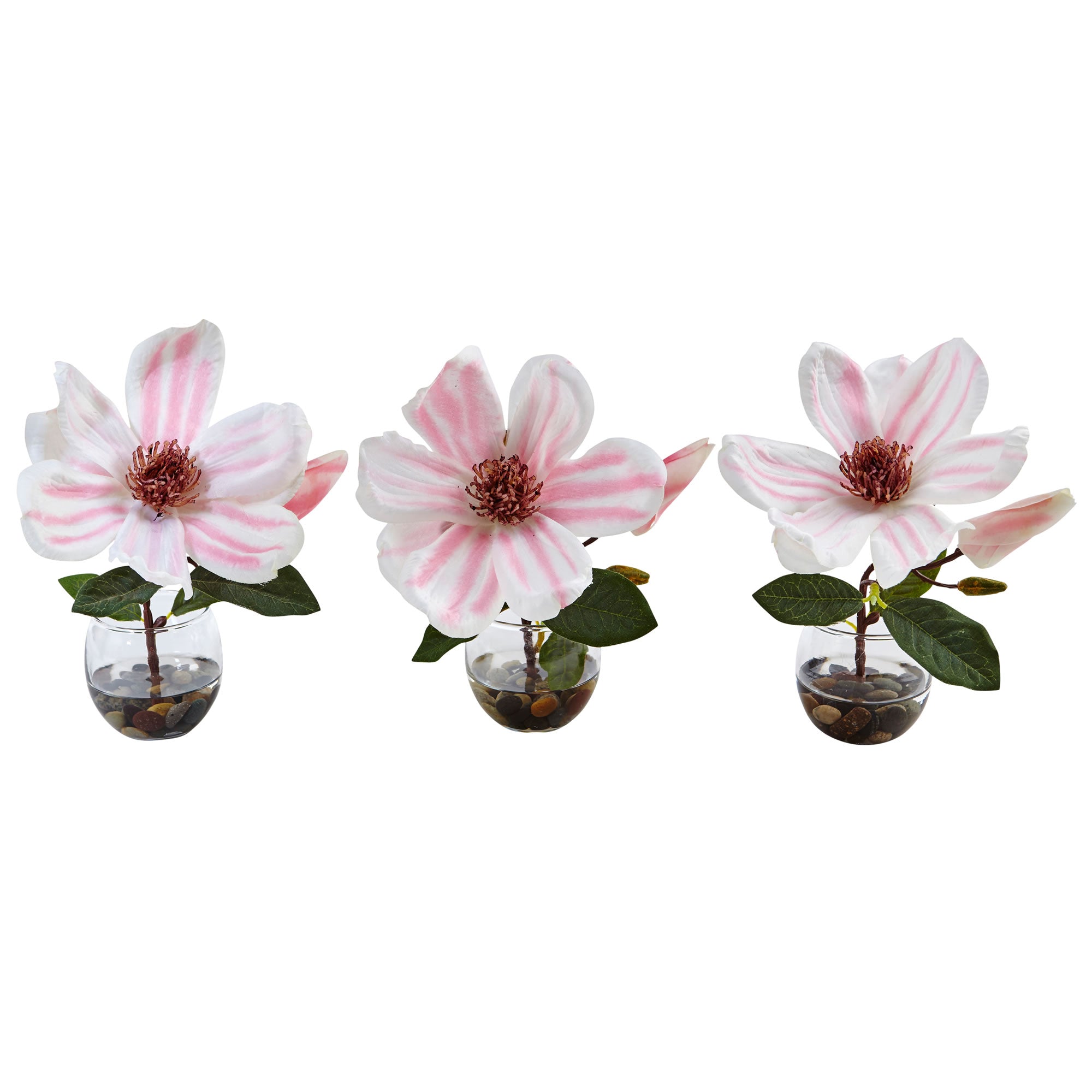 8" Magnolia in Votive Glass (Set of 3)