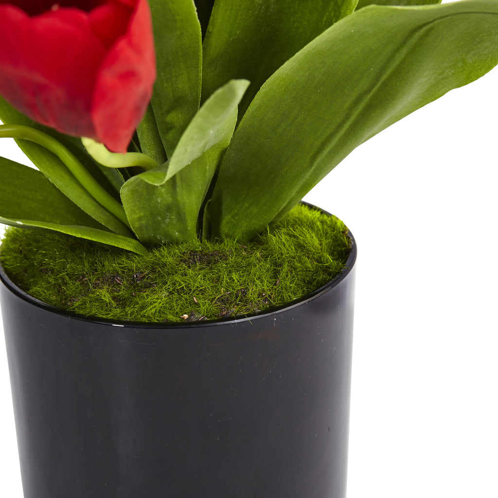 19.5" Tulips in Black Glossy Cylinder Red