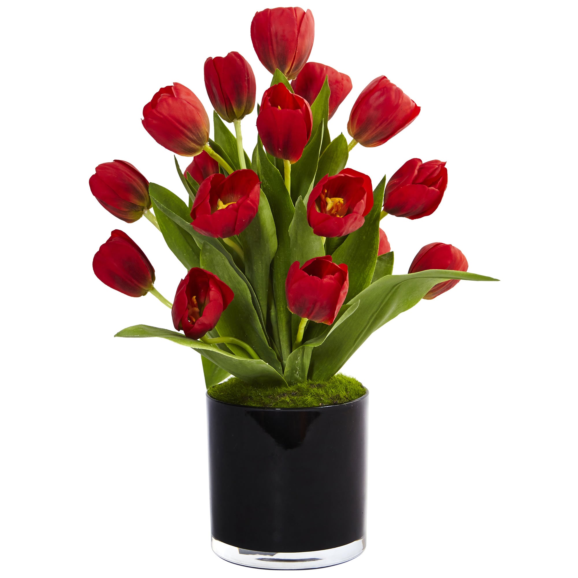19.5" Tulips in Black Glossy Cylinder Red