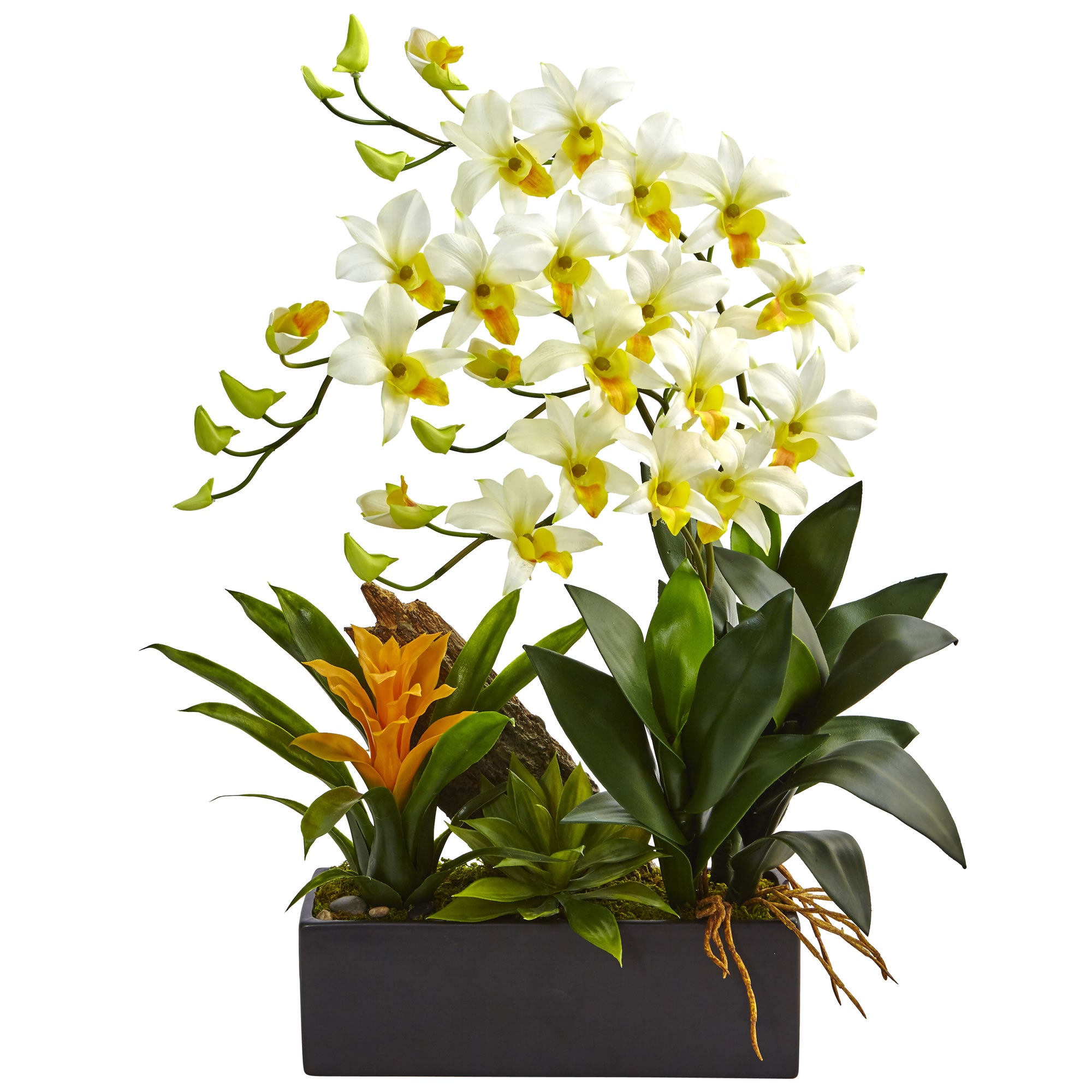 23.5" Dendrobium Orchid and Bromeliad Arrangement Cream