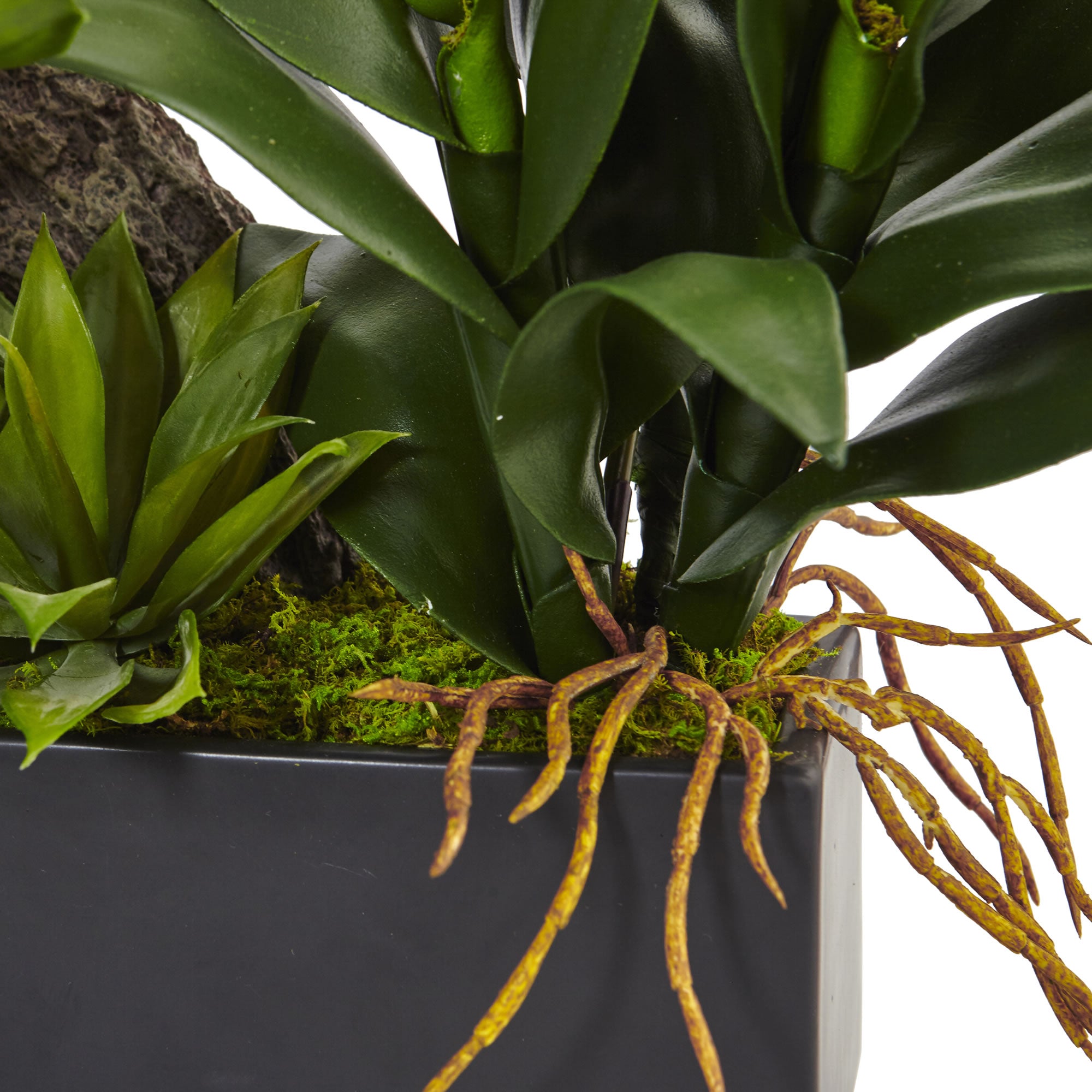 23.5" Dendrobium Orchid and Bromeliad Arrangement Green