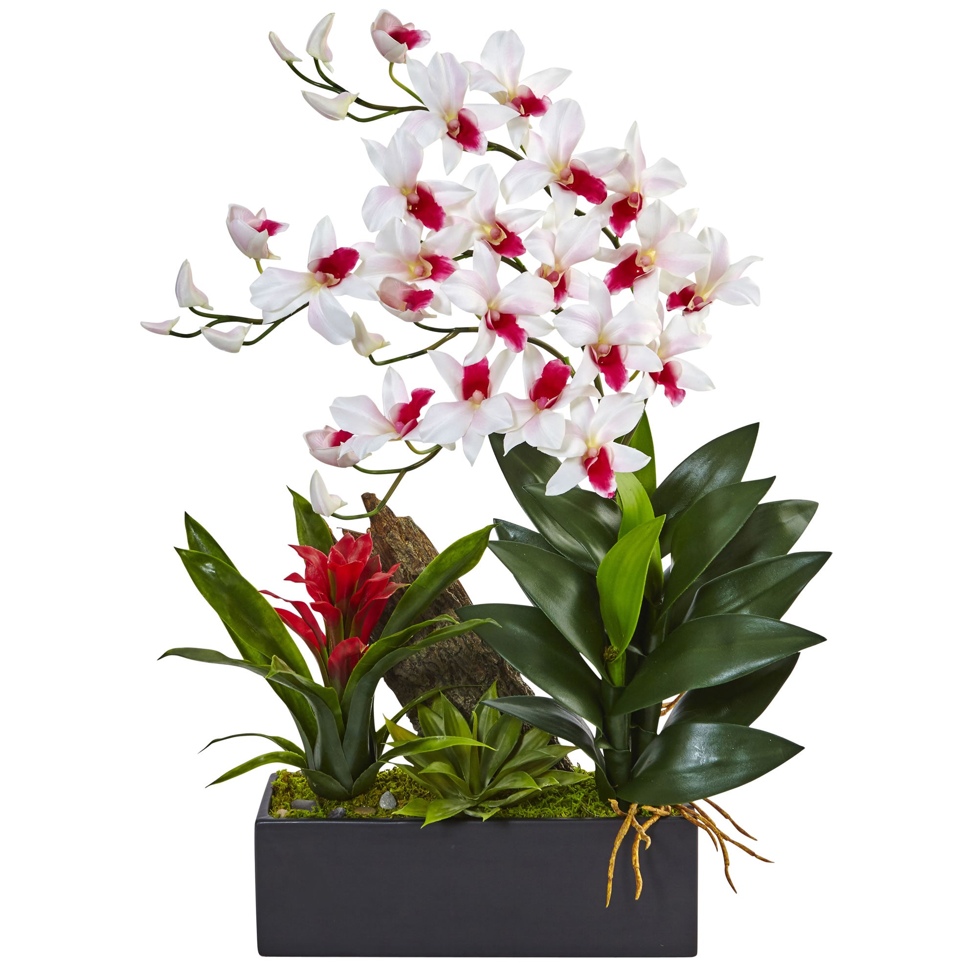 23.5" Dendrobium Orchid and Bromeliad Arrangement White