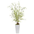 45" Night Willow in White Planter