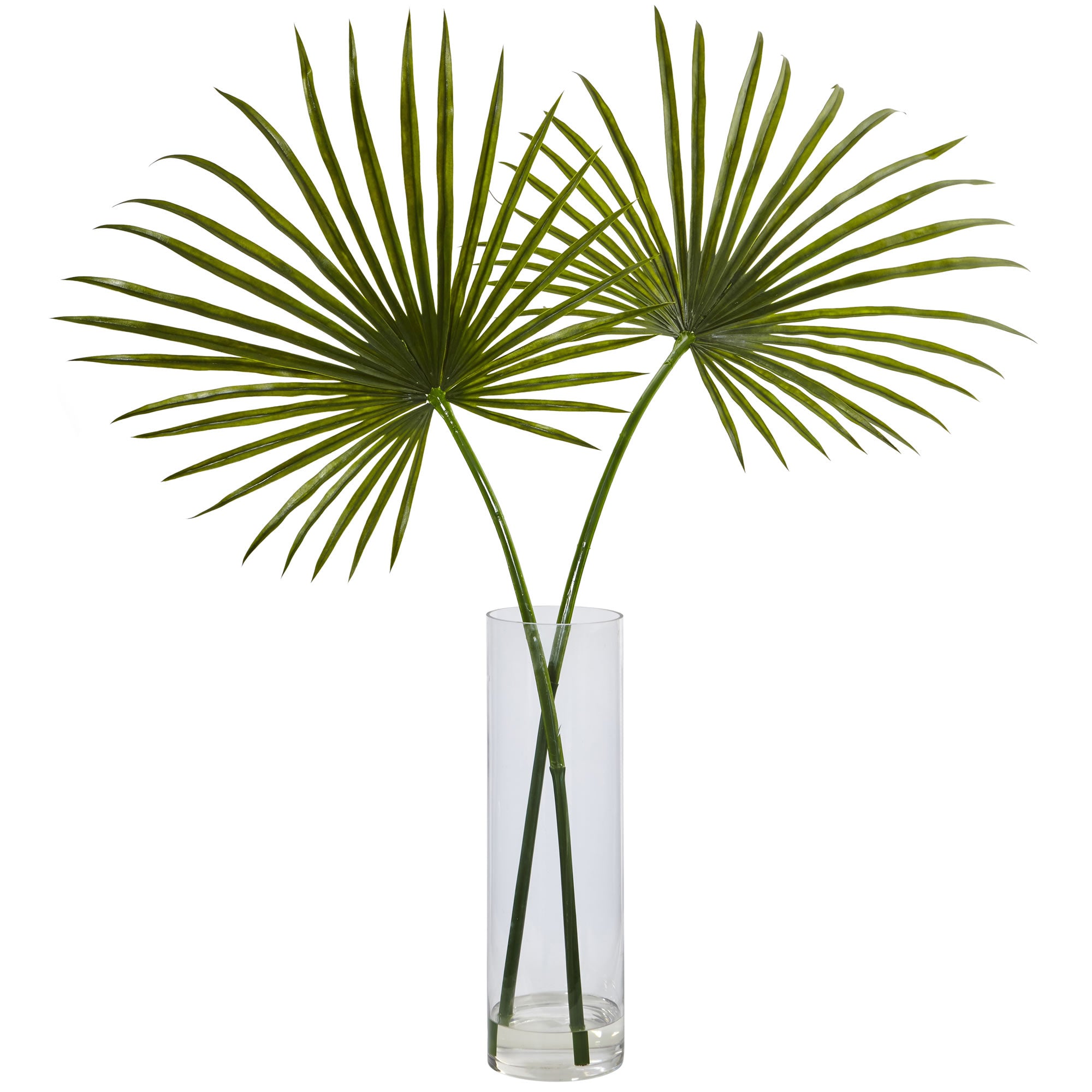49" Fan Palm in Cylinder Vase