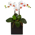18.5" Double Mini Phalaenopsis in Black Vase White