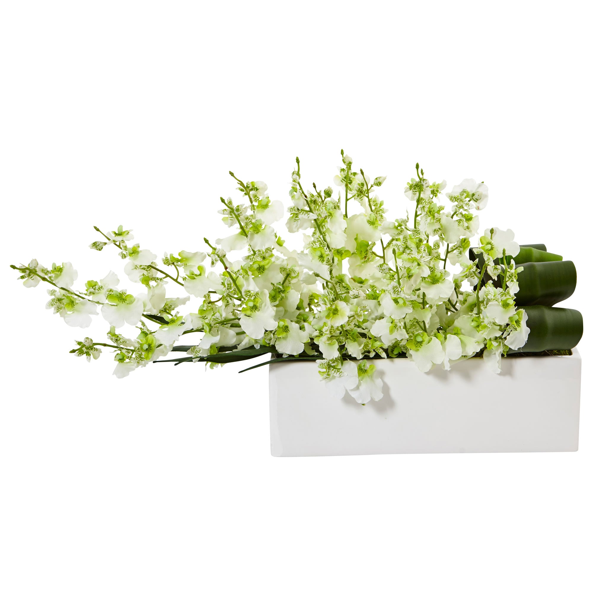 10" Dancing Lady Orchid in Rectangular Ceramic Green