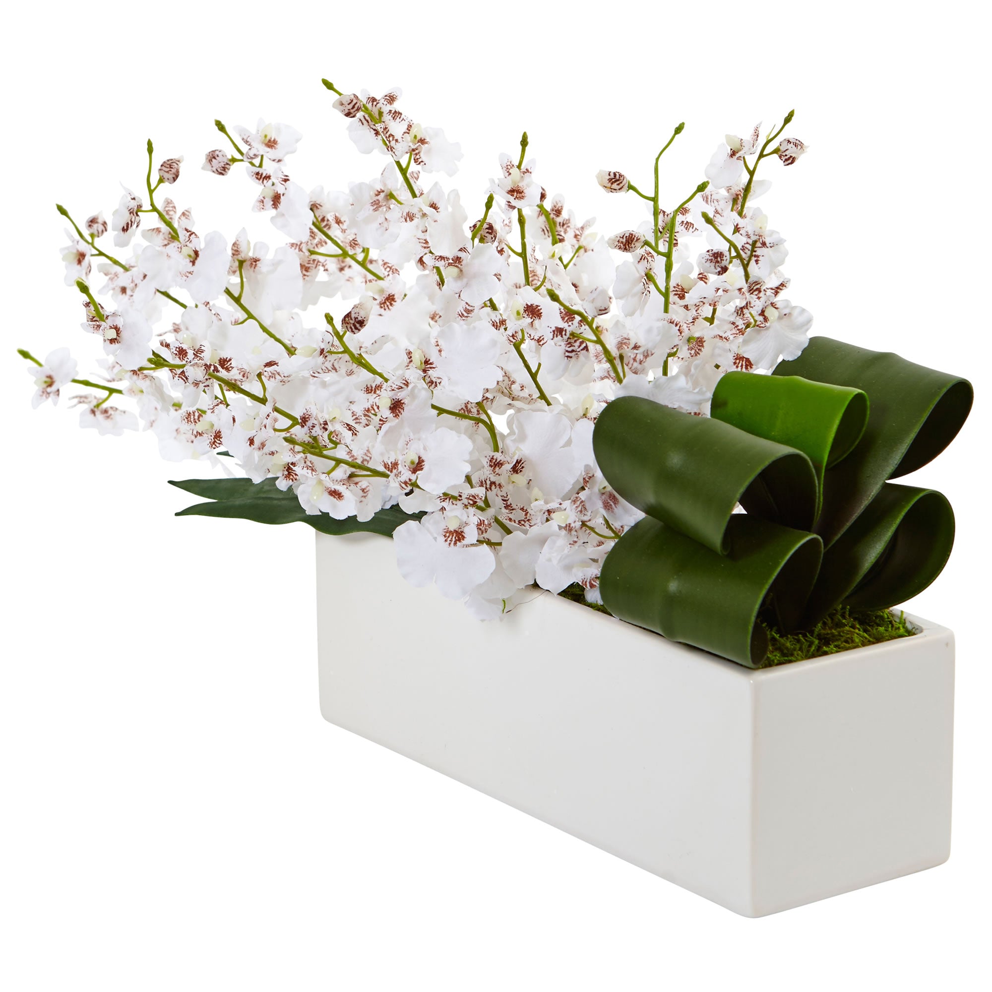 10" Dancing Lady Orchid in Rectangular Ceramic White