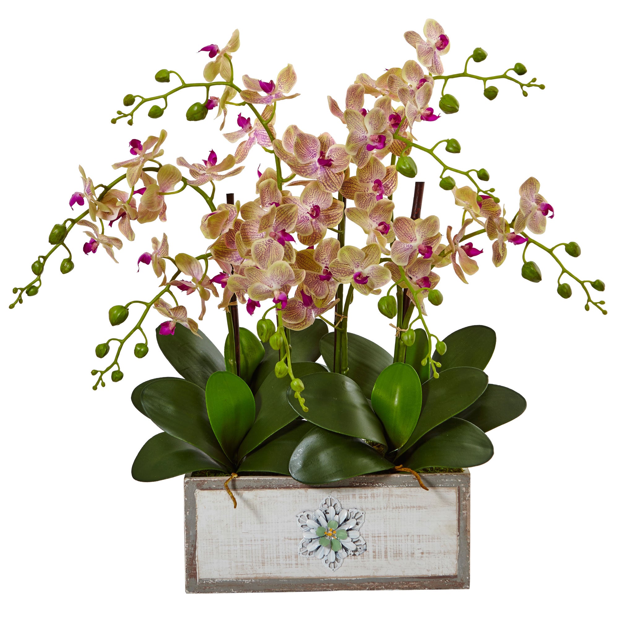 23" Phalaenopsis Orchid Arrangement in Decorative Wood Vase
