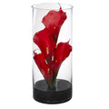 14" Calla Lily in Cylinder Glass Vase