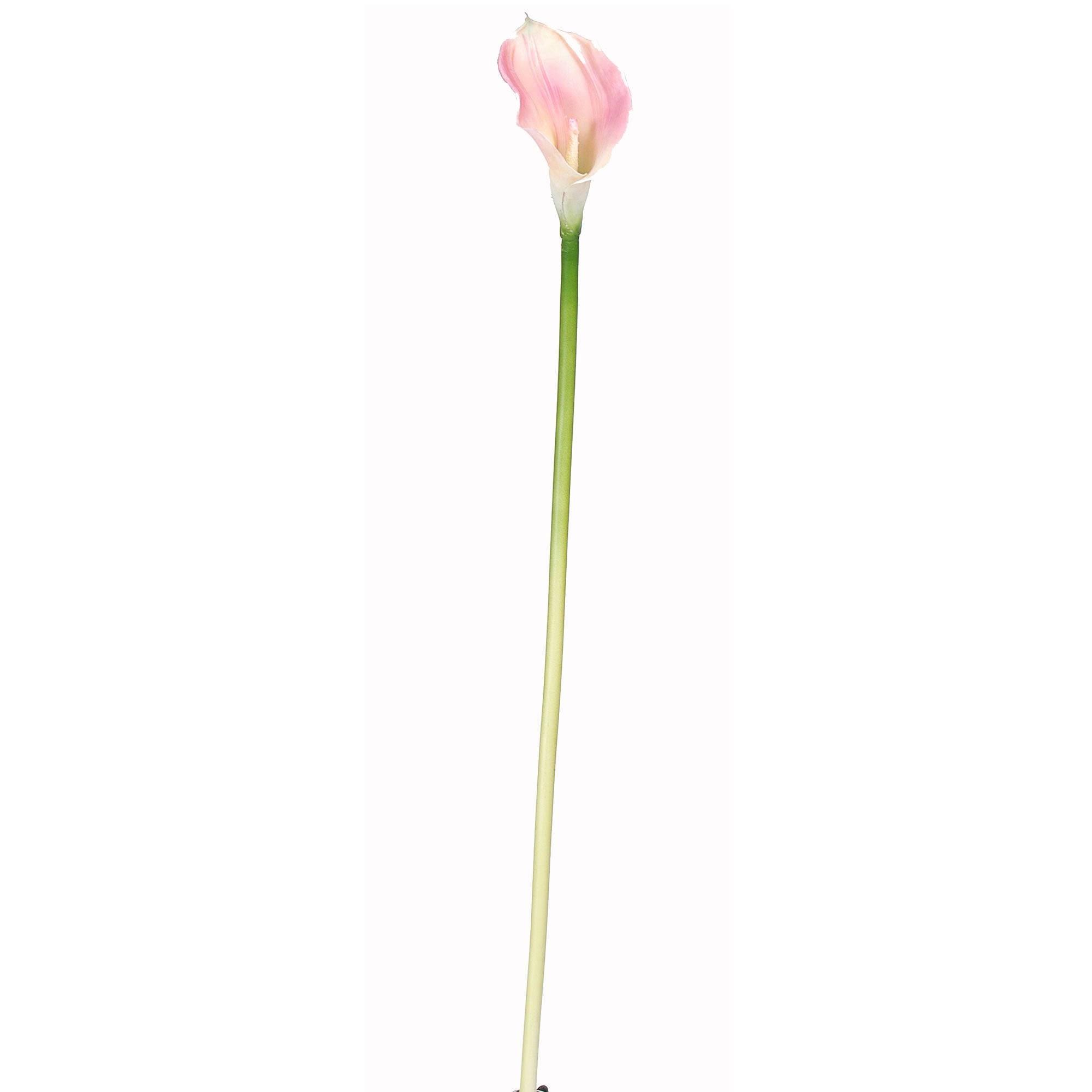 28” Calla Lilly Stem - Pink