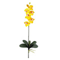 Phalaenopsis Stem (Set of 6) - Yellow