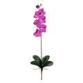Phalaenopsis Stem (Set of 6) - Orchid