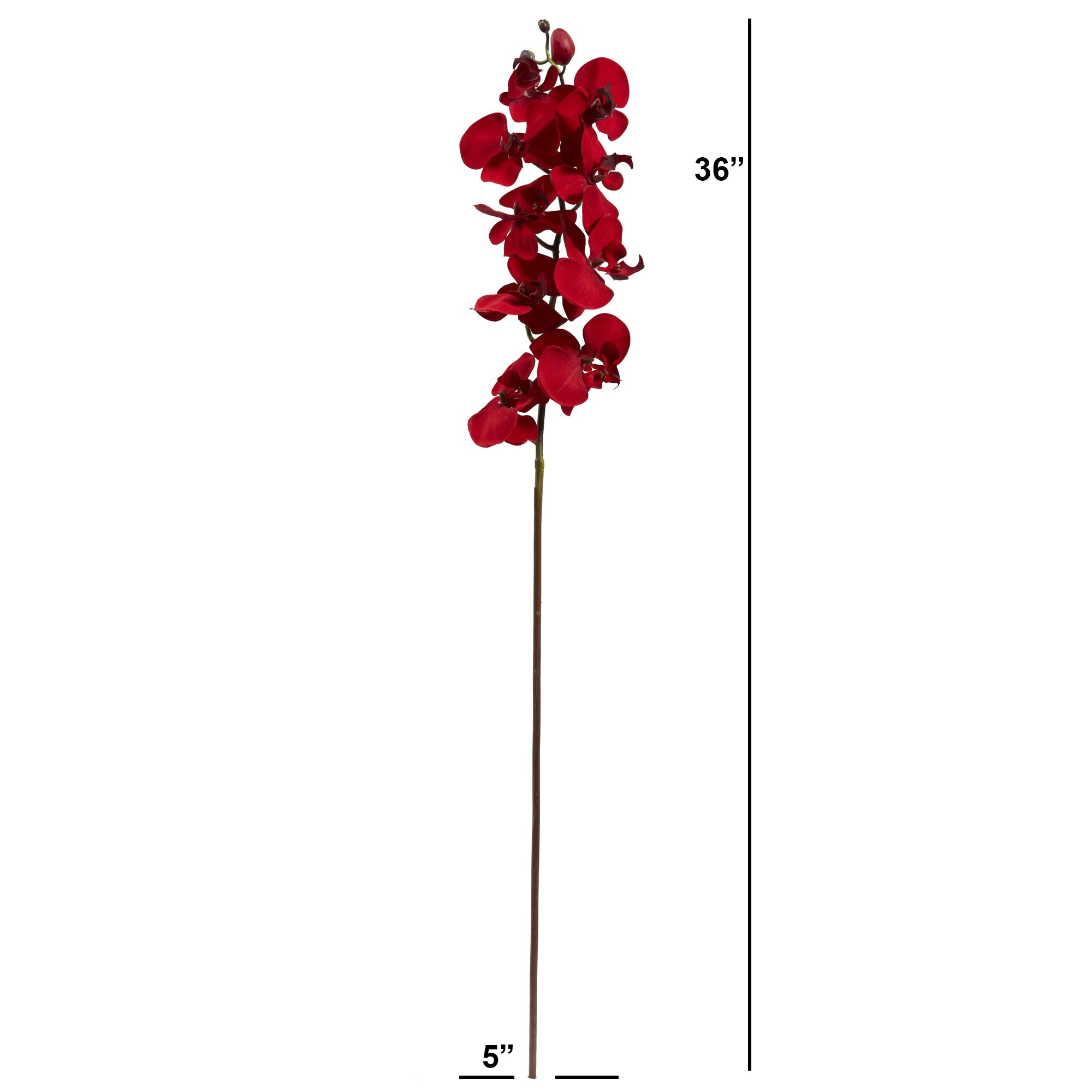 36" Christmas Phalaenopsis Artificial Flower (Set of 4)