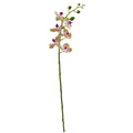 29" Phalaenopsis Orchid Artificial Flower (Set of 4)