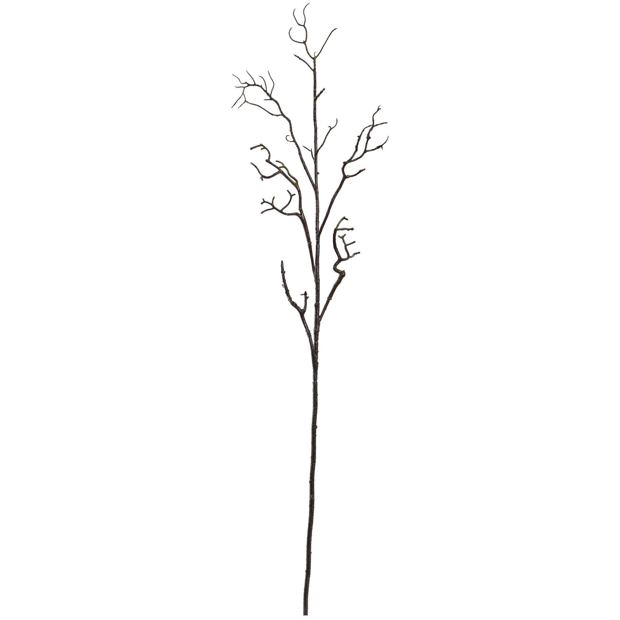 46" Deadwood Stem (Set of 6)