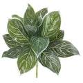 21" Silver Aglonema Artificial Plant (Real Touch) (Set of 6)