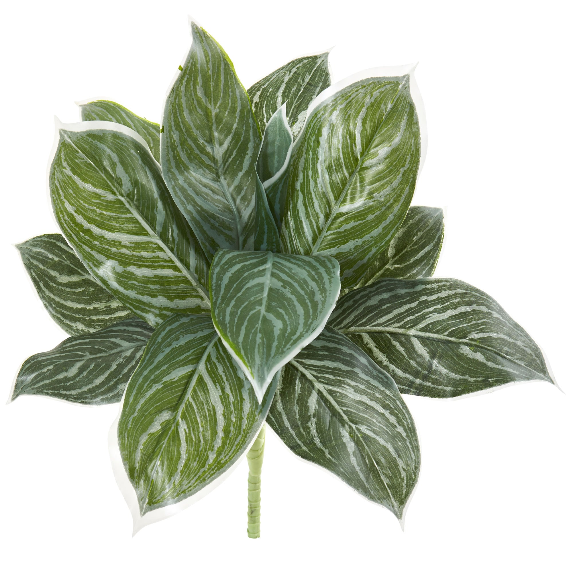 21" Silver Aglonema Artificial Plant (Real Touch) (Set of 6)
