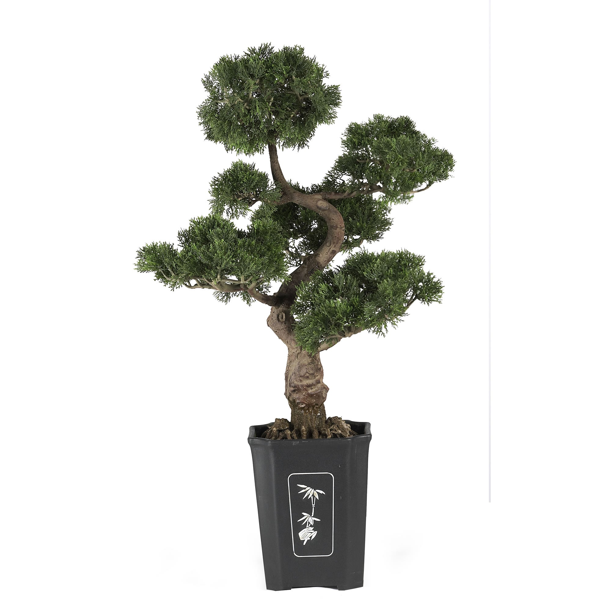 36" Bonsai Cedar Tree