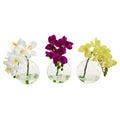 10" Phalaenopsis Pot (Set of 3)
