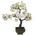 20" Cherry Blossom Bonsai