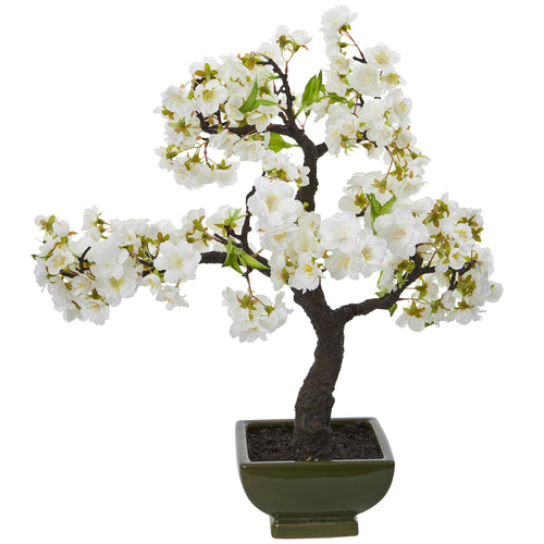 20" Cherry Blossom Bonsai