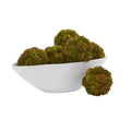 4" Sedum Ball