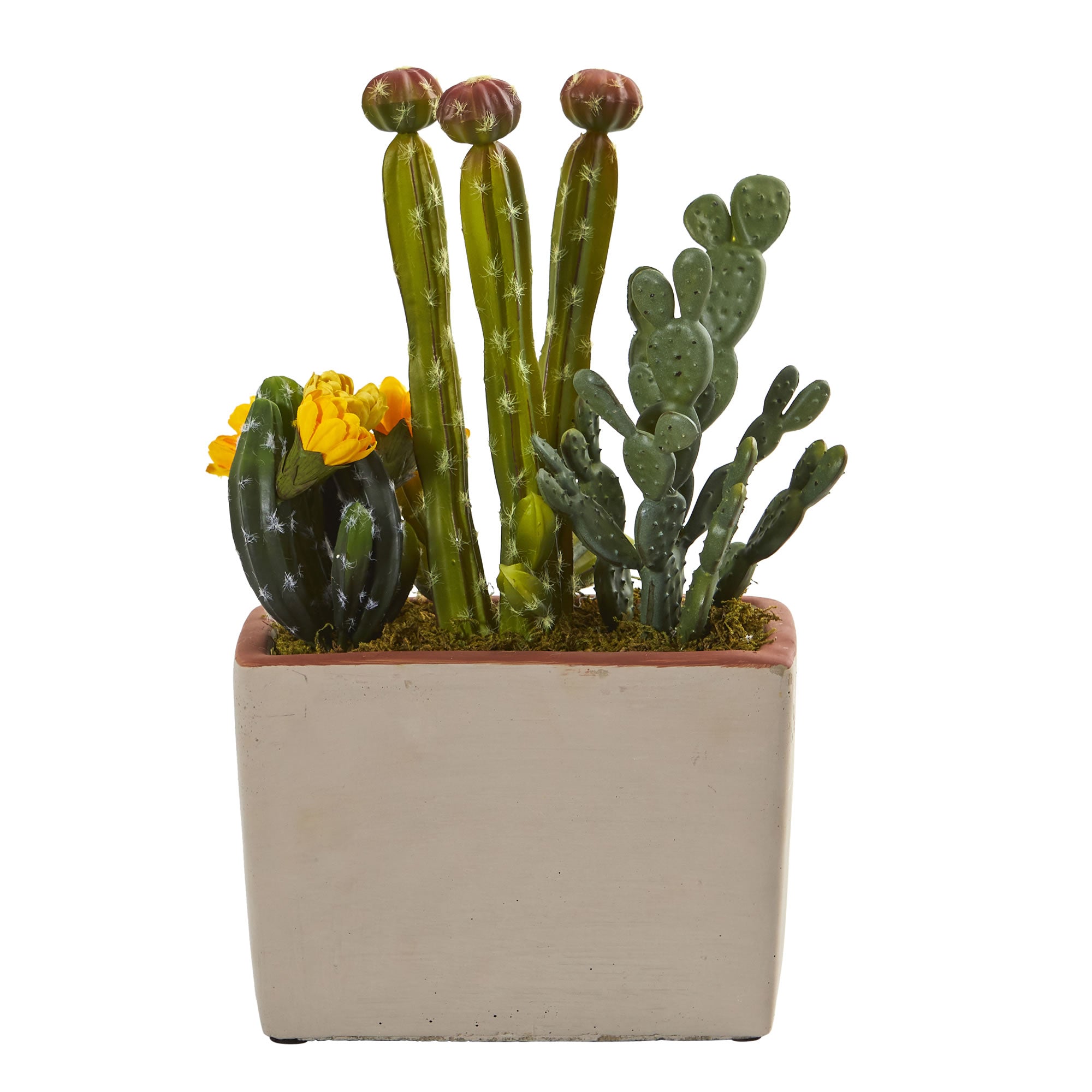 14" Mixed Cactus Artificial Plant with Decorative Planter