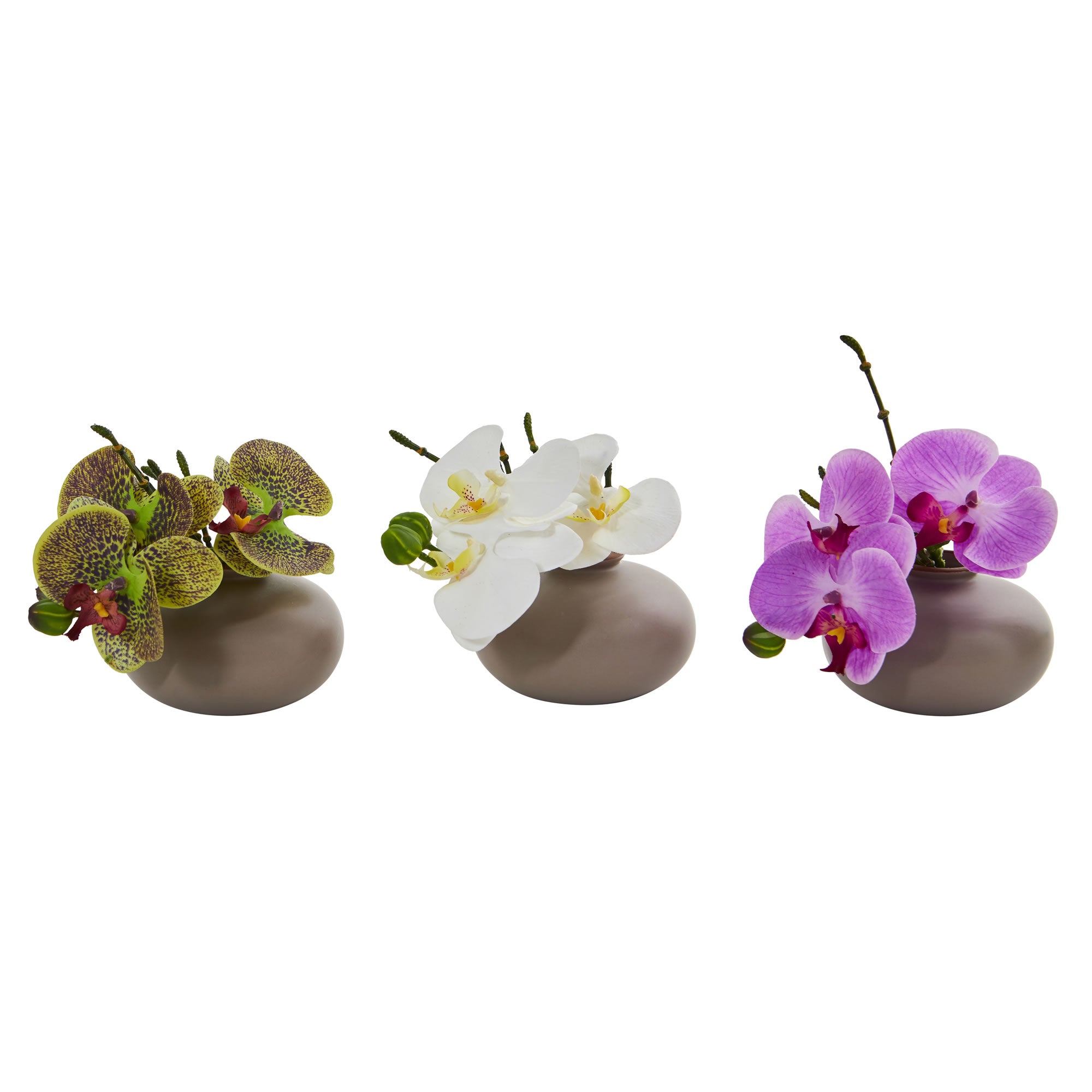 7" Phalaenopsis Pot (Set of 3)