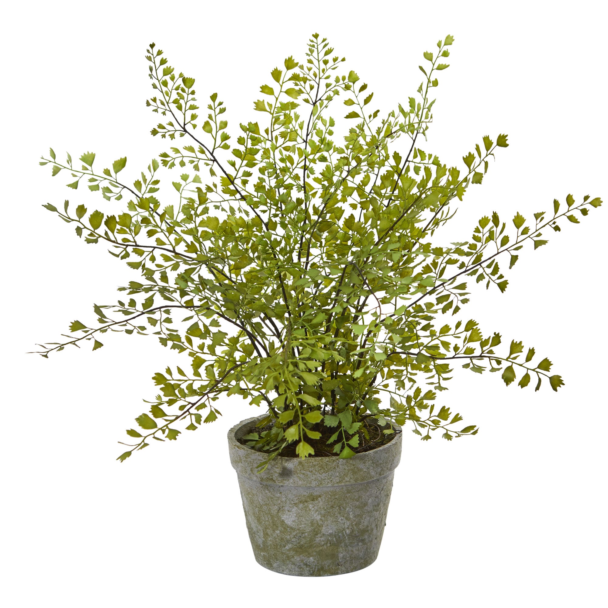 15" Maiden Hair Artificial Plant in Decorative Planter