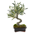13" Mini Olive Artificial Bonsai Tree