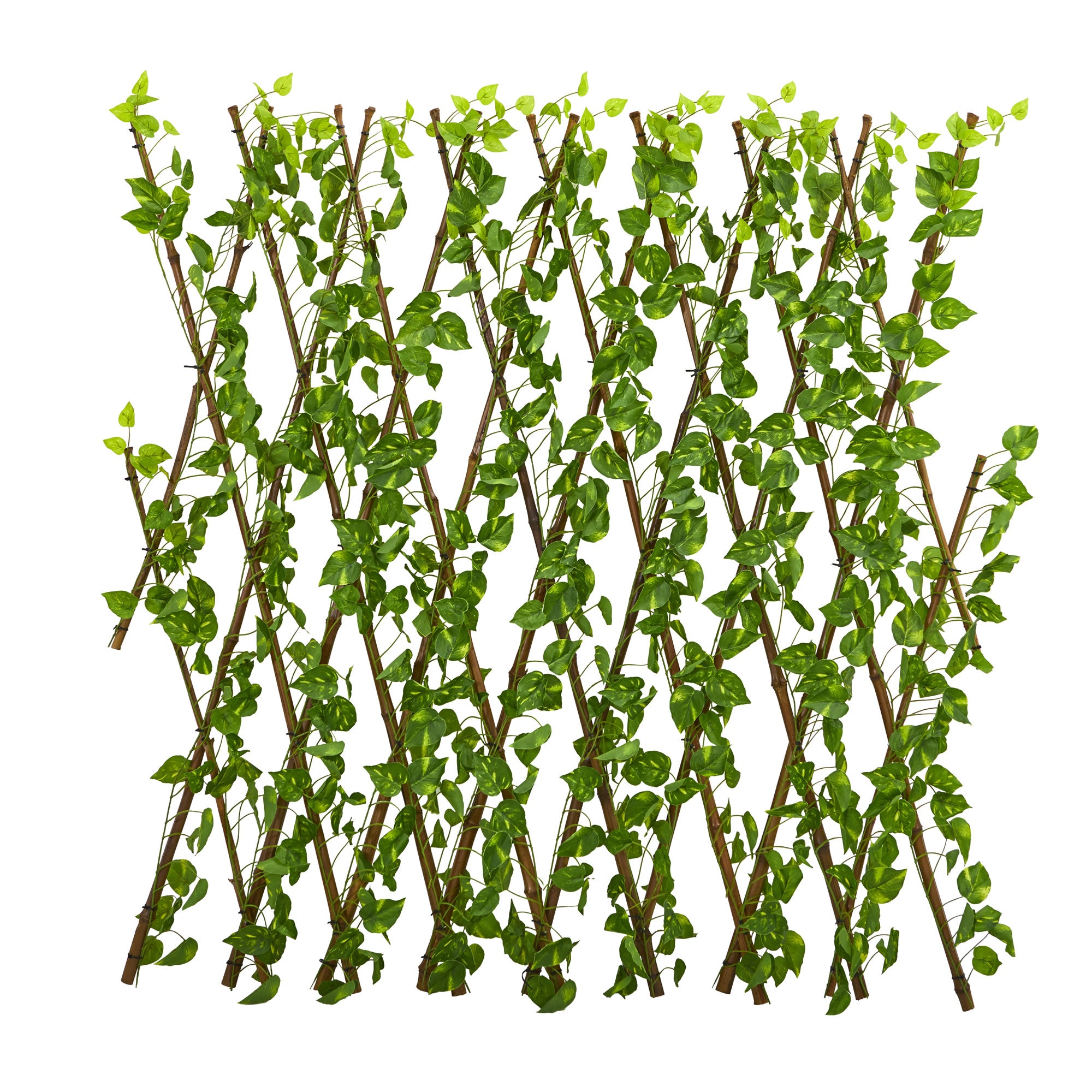 47" Pothos Expandable Fence UV Resistant & Waterproof